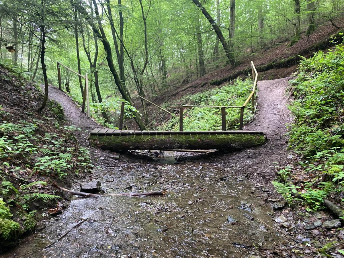 Neu!!! Netflix!!! Schoene Ferienwohnungen Im Gruenen Mit Top Ausstattung - Nur 15 Min Bis Koblenz Eitelborn Kültér fotó